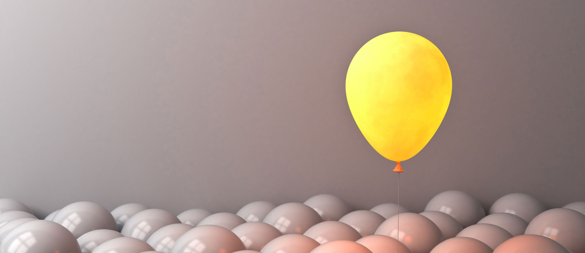 From challengers to champions - what can we learn from the success stories of challenger brands?